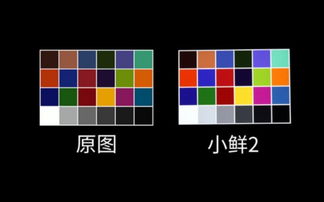 699元多彩配色自拍美机 中兴小鲜2评测