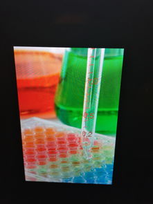 形似调色盘的化学仪器 点滴板与它的英文学名